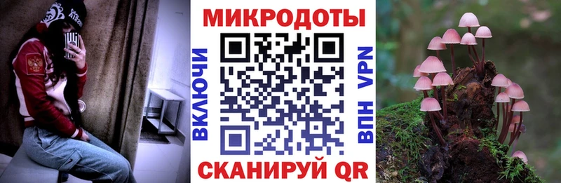 Галлюциногенные грибы прущие грибы  Истра 