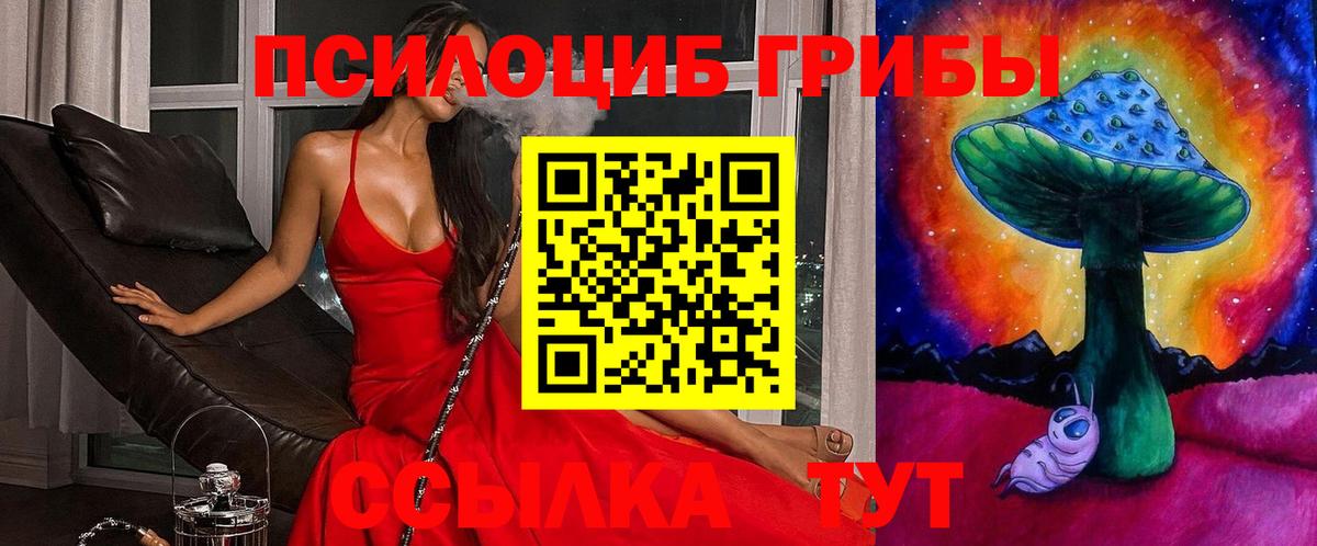 Галлюциногенные грибы GOLDEN TEACHER  Вход с VPN  Истра 