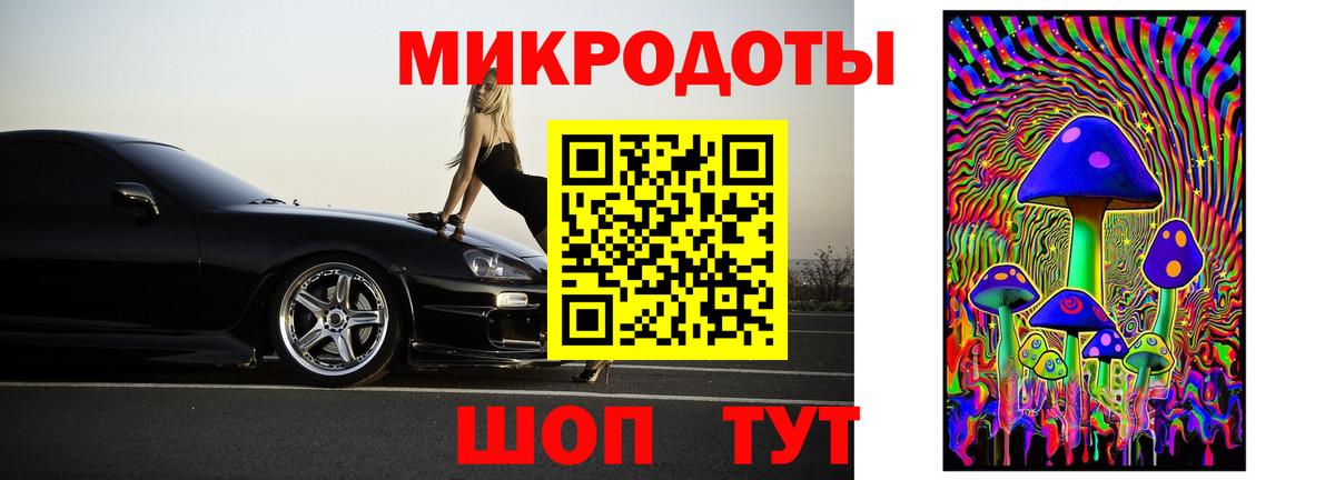 Псилоцибиновые грибы Psilocybine cubensis Истра